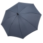Regular umbrella FAMIR